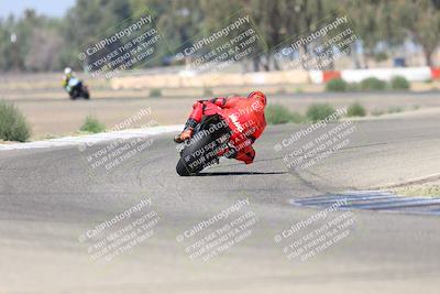 media/Sep-07-2025-Pacific Track Time (Sun) [[a6322260b9]]/A and B Group/Wheelie Bump A and B/